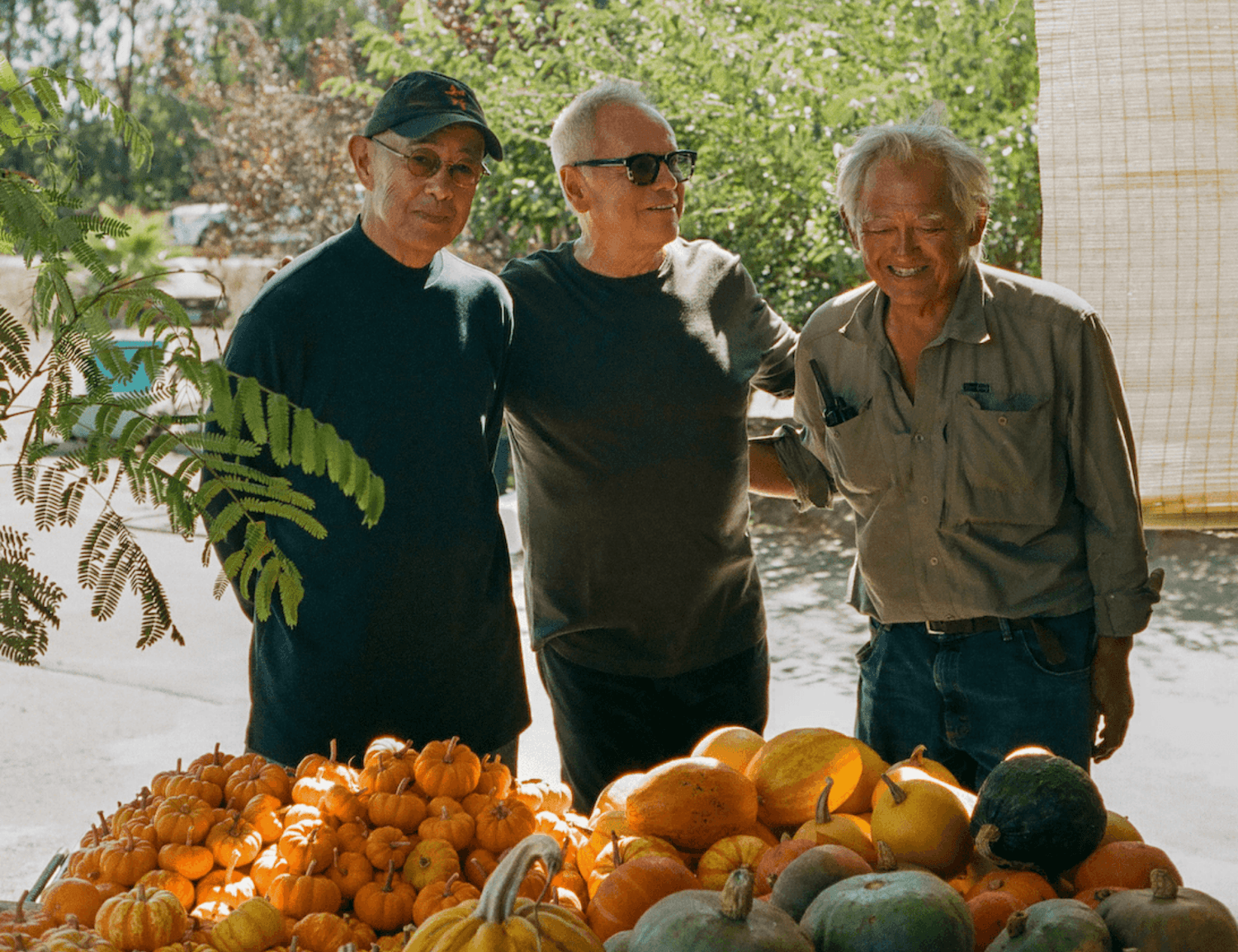 Today’s Chino Farm is run by Tom Chino, alongside his brothers Frank (Koo) and Fred (Fumio) and his sister Kay (Kazumi).