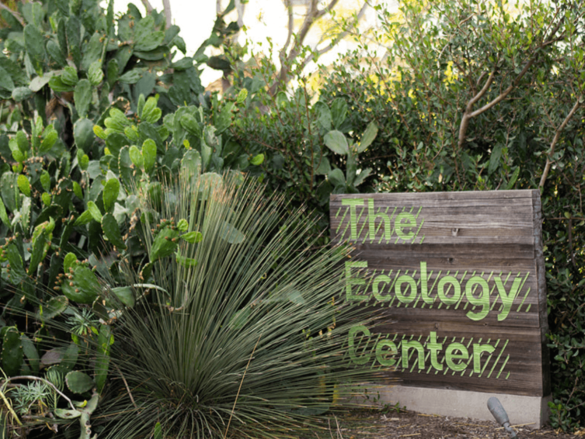 The Ecology Center