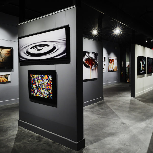 Modernist Cuisine Gallery
