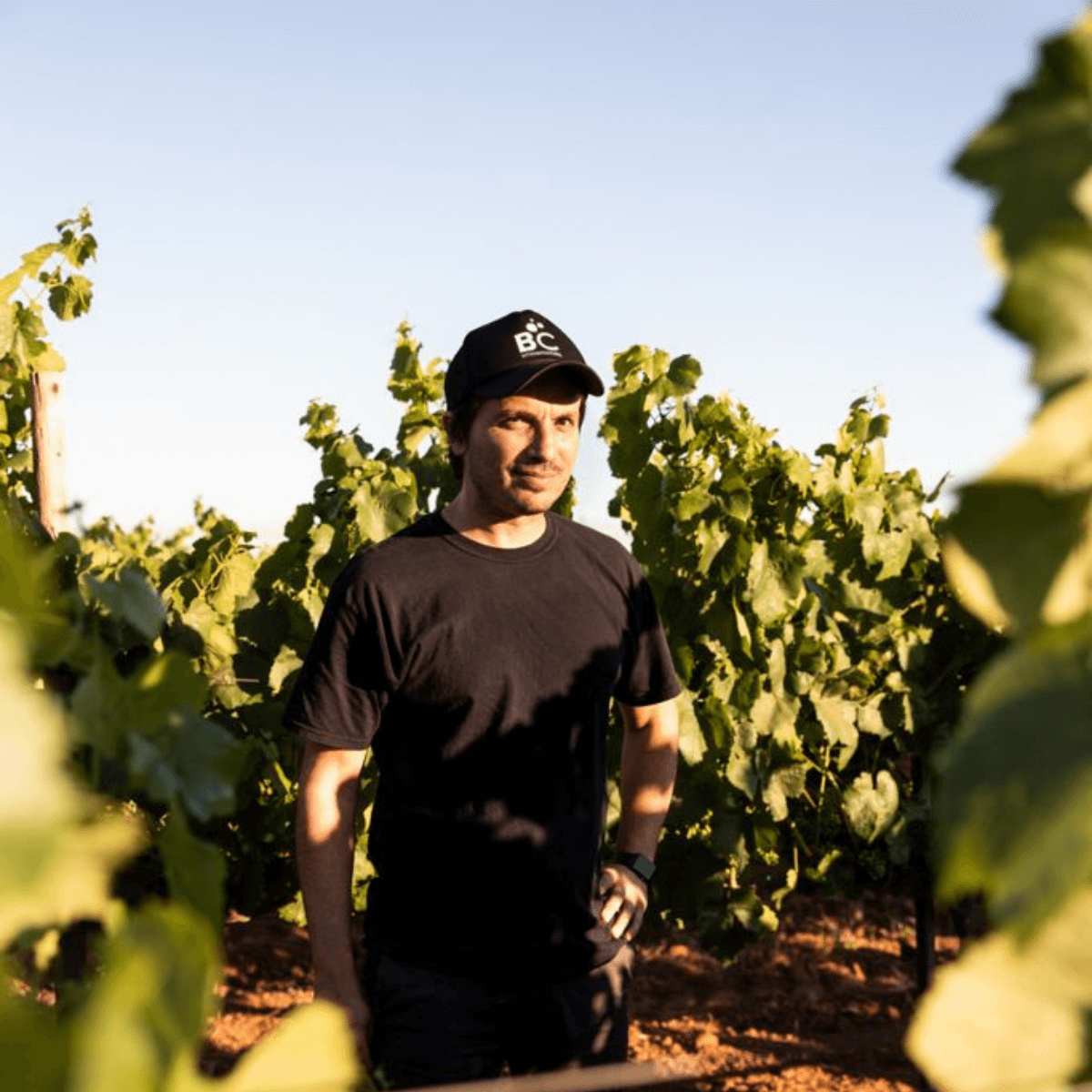 Fernando Pérez Castro