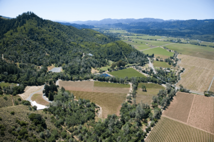 Vine and Dine with Hudson & Nash and Hourglass Winery