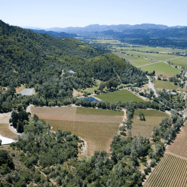 Vine and Dine with Hudson & Nash and Hourglass Winery