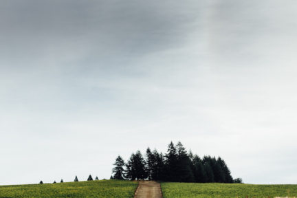 Sustainable Oregon Wine 4-Course Feast - Jackson Family Wines