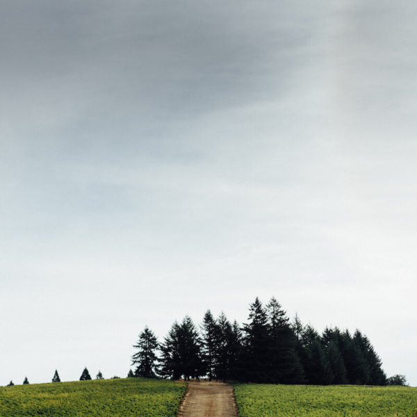 Sustainable Oregon Wine 4-Course Feast - Jackson Family Wines