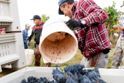 Sustainable Oregon Wine 4-Course Feast - Jackson Family Wines