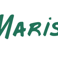 Marisi