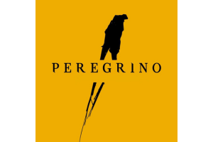 Peregrino