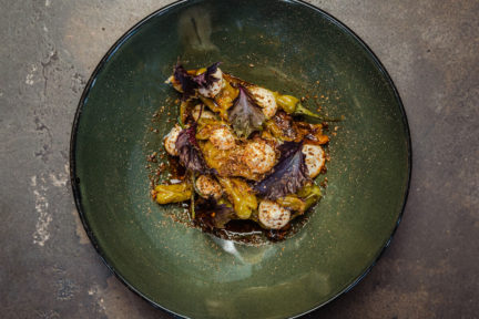 Plantscape: A Boundary Bending Dinner Series