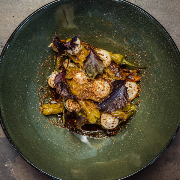 Plantscape: A Boundary Bending Dinner Series