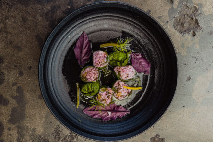 Plantscape: A Boundary Bending Dinner Series