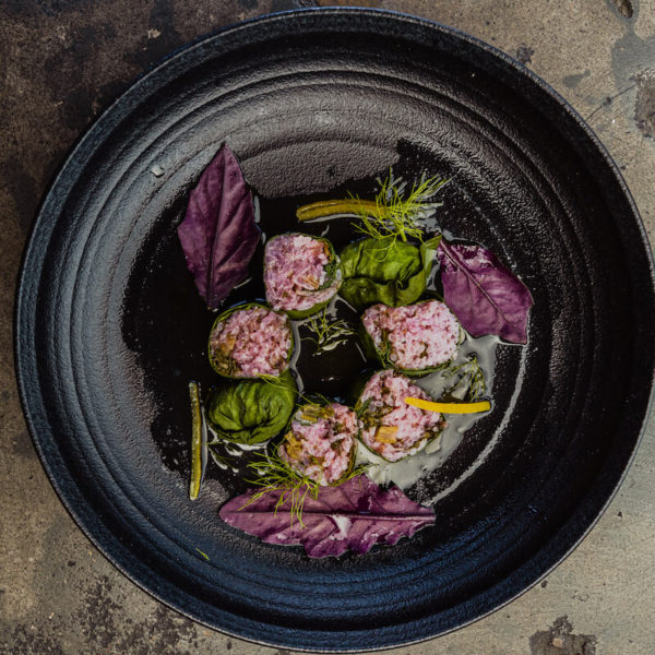 Plantscape: A Boundary Bending Dinner Series