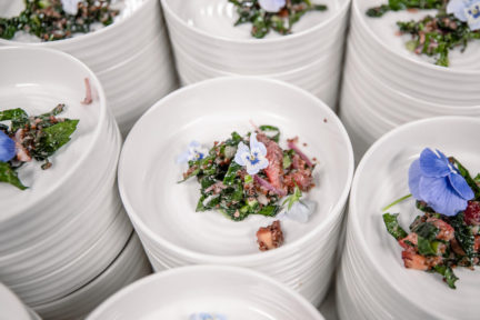 Plantscape: A Boundary Bending Dinner Series