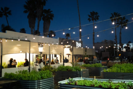 Plantscape: A Boundary Bending Dinner Series