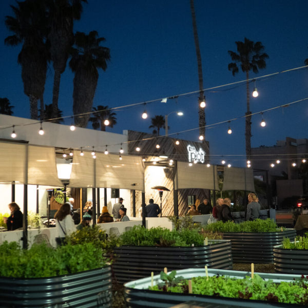 Plantscape: A Boundary Bending Dinner Series