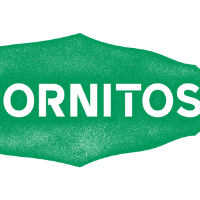 Hornitos